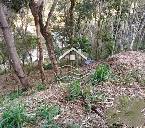 Terreno Residencial à venda em Itaipava, Petrópolis - RJ - Foto 2