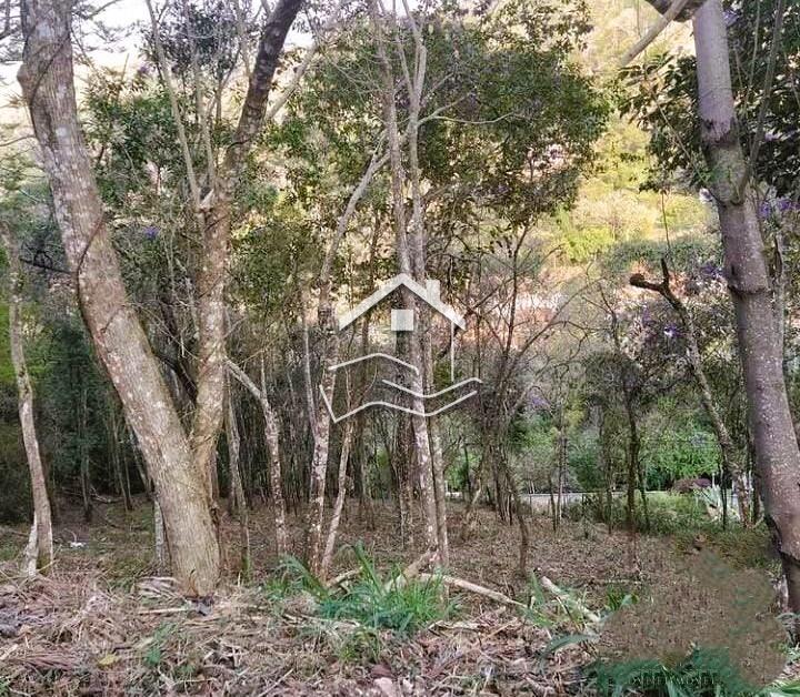 Terreno Residencial à venda em Itaipava, Petrópolis - RJ - Foto 3