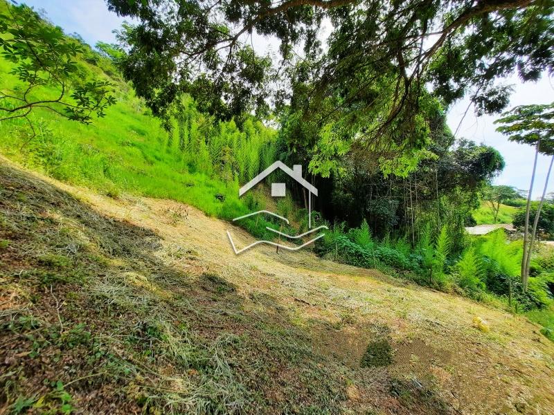 Terreno Residencial à venda em Nogueira, Petrópolis - RJ - Foto 3