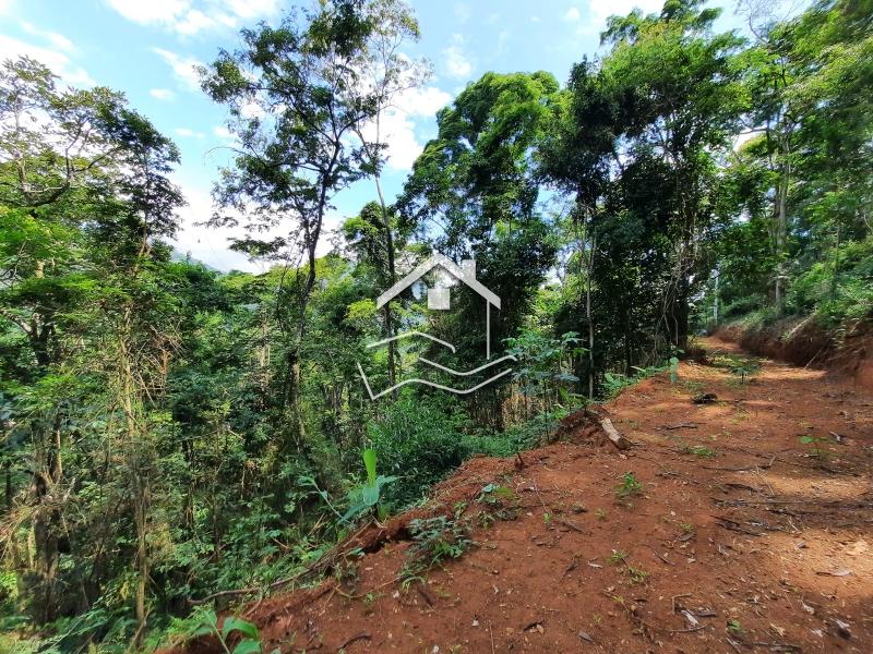 Terreno Residencial à venda em Itaipava, Petrópolis - RJ - Foto 3