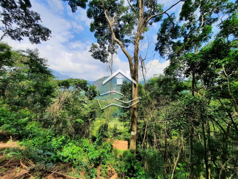 Terreno Residencial à venda em Itaipava, Petrópolis - RJ - Foto 6