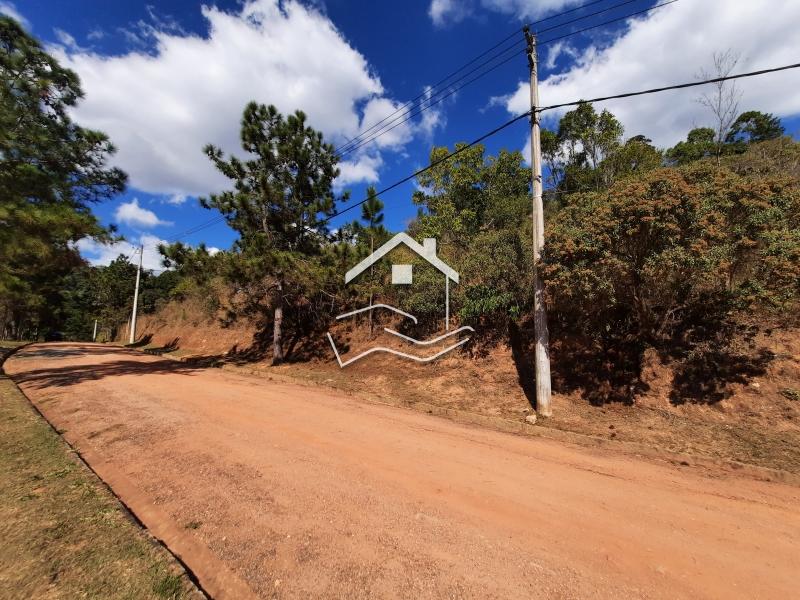 Terreno Residencial à venda em Pedro do Rio, Petrópolis - RJ - Foto 7