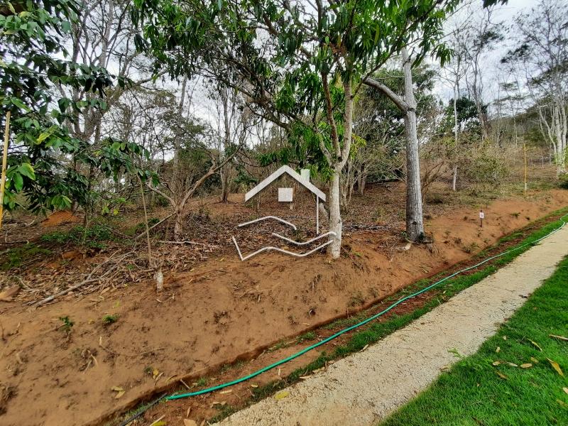 Terreno Residencial à venda em Secretário, Petrópolis - RJ - Foto 20