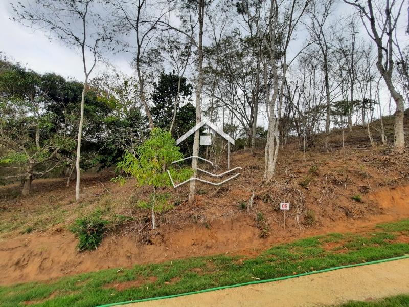 Terreno Residencial à venda em Secretário, Petrópolis - RJ - Foto 17