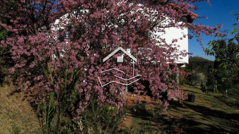 Casa à venda em Pedro do Rio, Petrópolis - RJ - Foto 11
