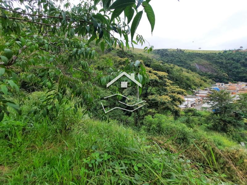 Terreno Residencial à venda em Pedro do Rio, Petrópolis - RJ - Foto 3
