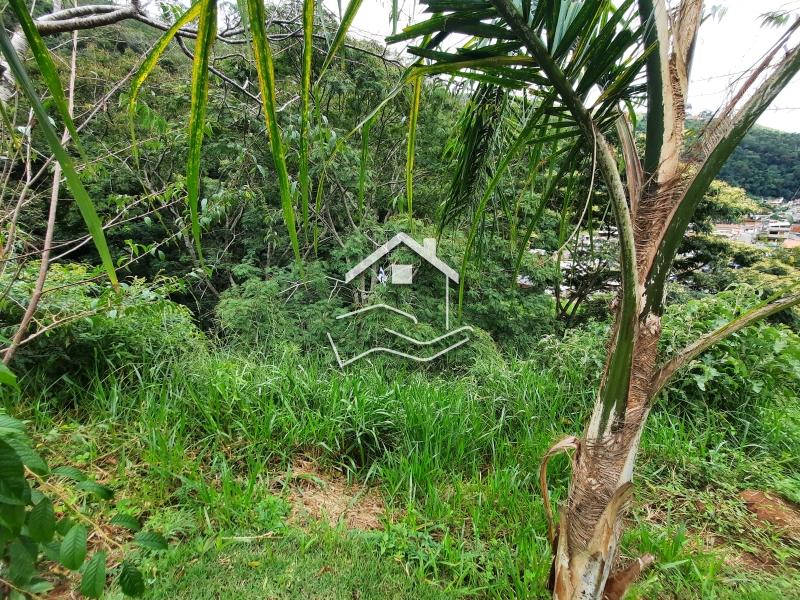 Terreno Residencial à venda em Pedro do Rio, Petrópolis - RJ - Foto 4