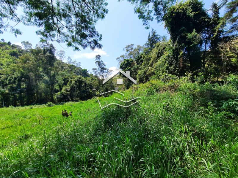 Terreno Residencial à venda em Pedro do Rio, Petrópolis - RJ - Foto 3