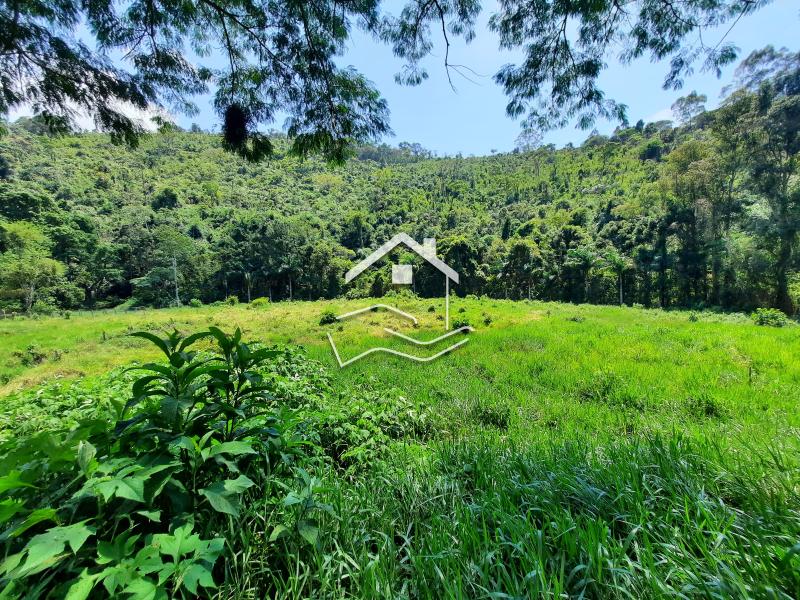 Terreno Residencial à venda em Pedro do Rio, Petrópolis - RJ - Foto 5