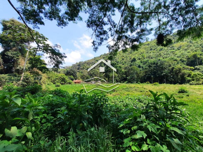 Terreno Residencial à venda em Pedro do Rio, Petrópolis - RJ - Foto 6
