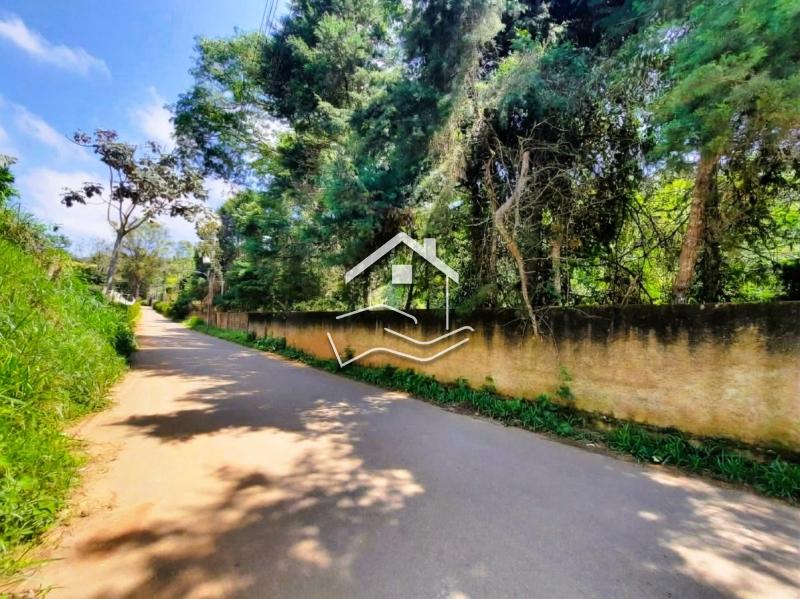 Terreno Residencial à venda em Pedro do Rio, Petrópolis - RJ - Foto 7