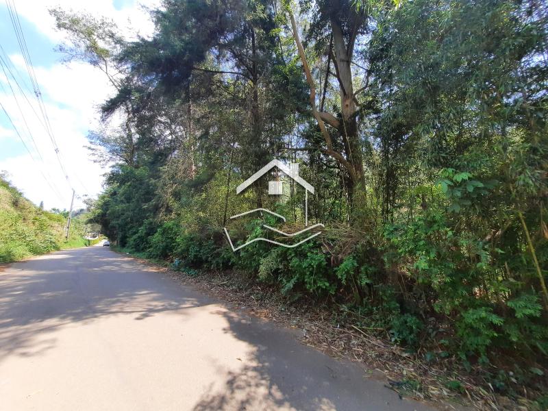 Terreno Residencial à venda em Pedro do Rio, Petrópolis - RJ - Foto 9