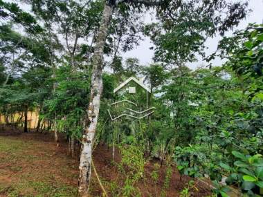 [767] Terreno Residencial em Itaipava, Petrópolis/RJ