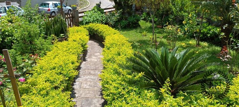 Casa à venda em Quitandinha, Petrópolis - RJ - Foto 3