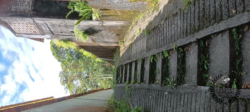 Casa à venda em Independência, Petrópolis - RJ - Foto 8