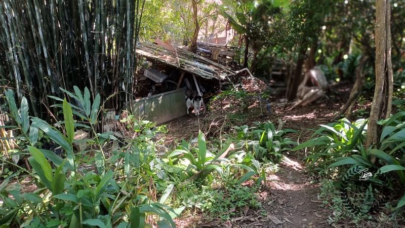 Terreno Residencial à venda em Mosela, Petrópolis - RJ - Foto 2