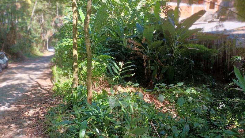Terreno Residencial à venda em Mosela, Petrópolis - RJ - Foto 3