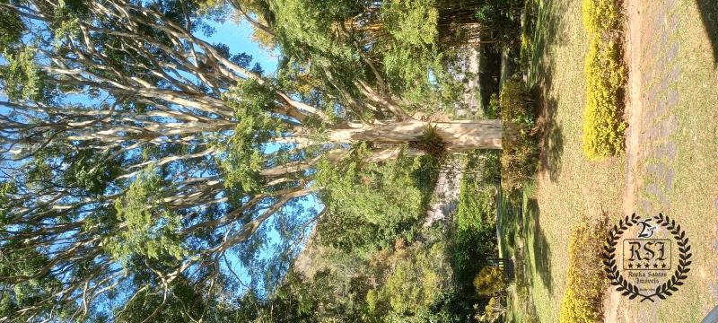 Casa à venda em Centro, Petrópolis - RJ - Foto 14