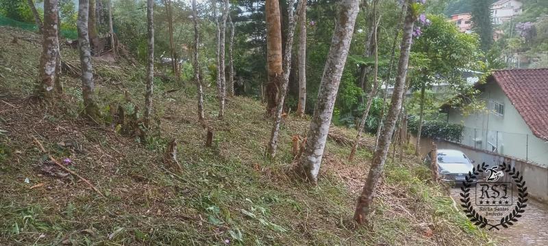 Terreno Residencial à venda em Duarte da Silveira, Petrópolis - RJ - Foto 1