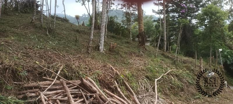 Terreno Residencial à venda em Duarte da Silveira, Petrópolis - RJ - Foto 7