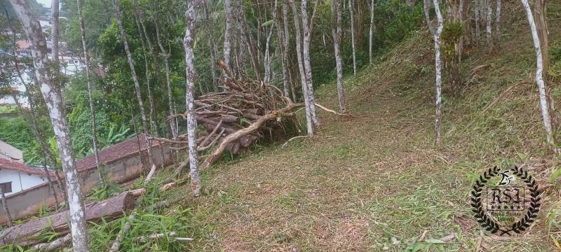 Terreno Residencial à venda em Duarte da Silveira, Petrópolis - RJ - Foto 8