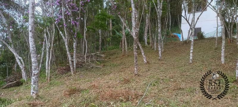 Terreno Residencial à venda em Duarte da Silveira, Petrópolis - RJ - Foto 9