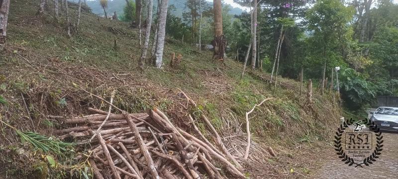Terreno Residencial à venda em Duarte da Silveira, Petrópolis - RJ - Foto 4