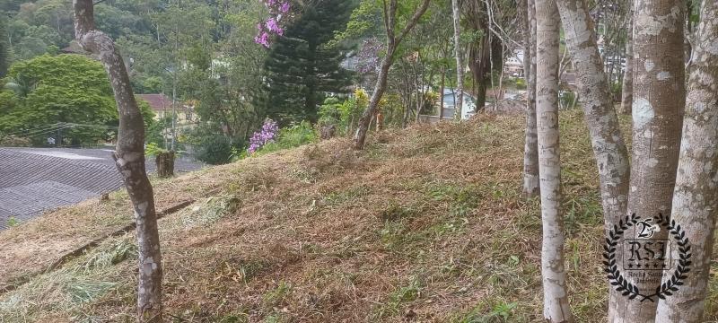 Terreno Residencial à venda em Duarte da Silveira, Petrópolis - RJ - Foto 11