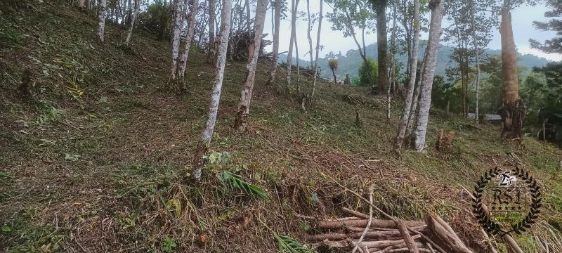 Terreno Residencial à venda em Duarte da Silveira, Petrópolis - RJ - Foto 12