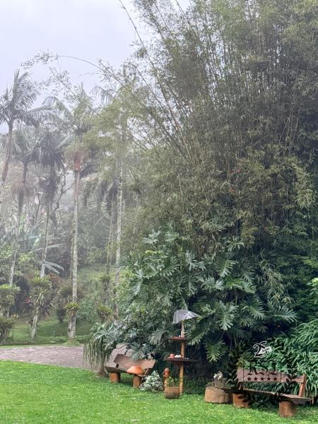 Casa à venda em Mosela, Petrópolis - RJ - Foto 7