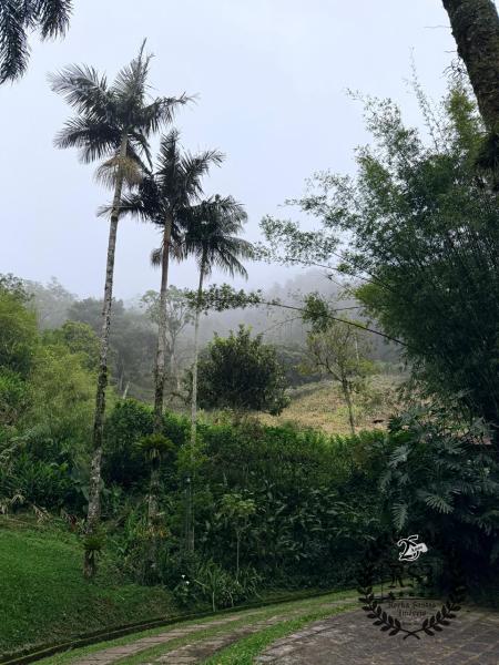 Casa à venda em Mosela, Petrópolis - RJ - Foto 8