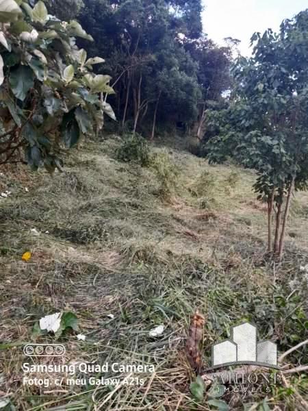 Terreno Residencial em Corrêas - Petrópolis/RJ 