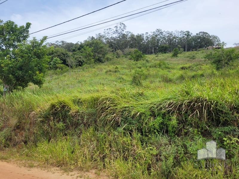 Terreno Residencial à venda em Sebollas, Paraíba do Sul - RJ - Foto 2