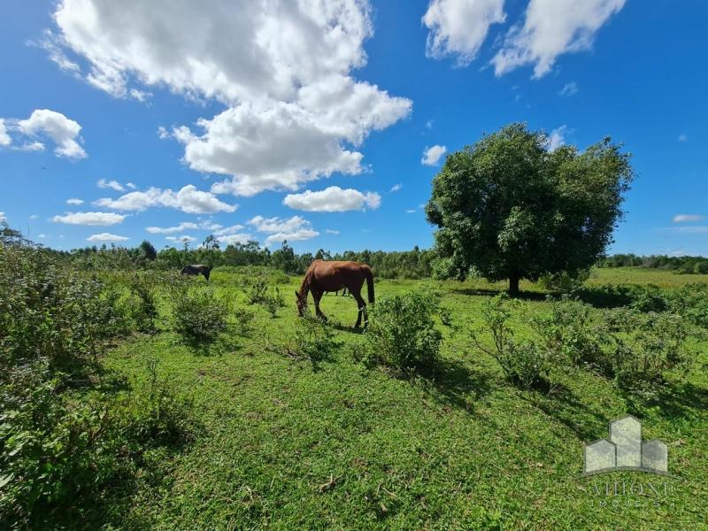 Fazenda / Sítio em Araruama - Araruama/RJ 