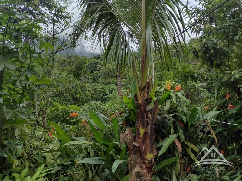 Chácara à venda em Centro, Rio de Janeiro - RJ - Foto 13