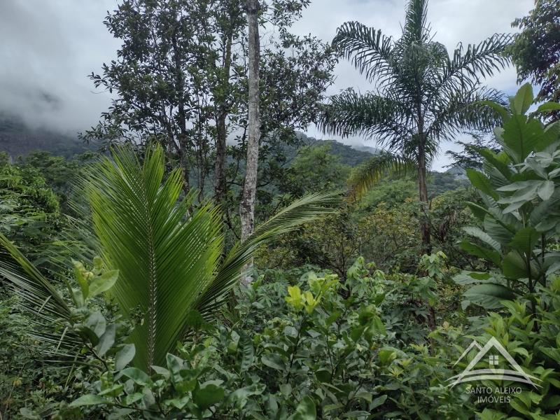 Chácara à venda em Centro, Rio de Janeiro - RJ - Foto 12