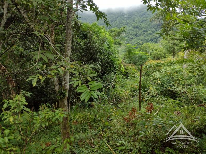 Chácara à venda em Centro, Rio de Janeiro - RJ - Foto 7