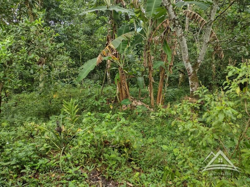 Chácara à venda em Centro, Rio de Janeiro - RJ - Foto 6