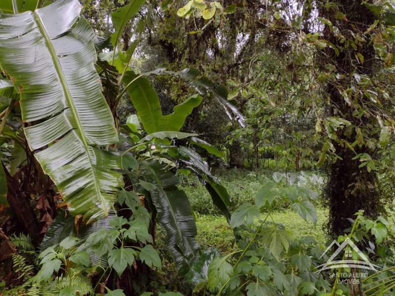 Casa à venda em Centro, Rio de Janeiro - RJ - Foto 24