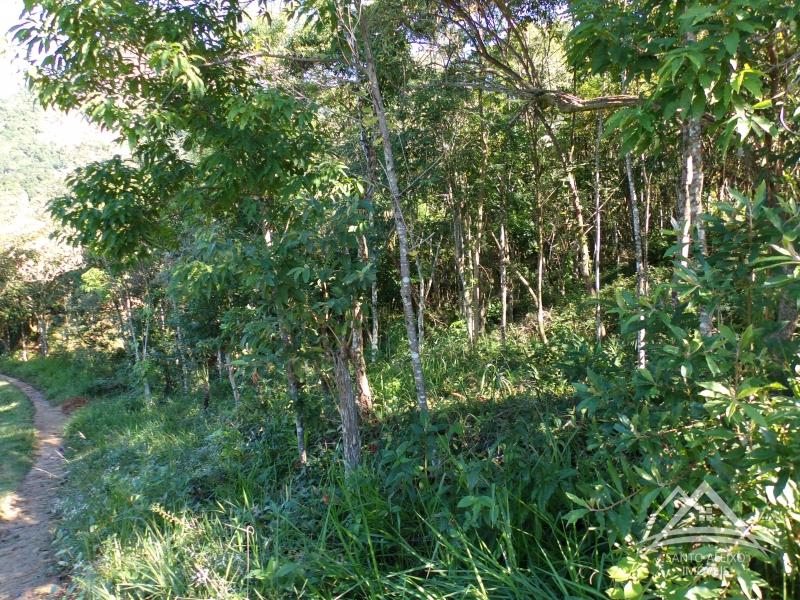 Terreno Residencial à venda em Centro, Rio de Janeiro - RJ - Foto 2