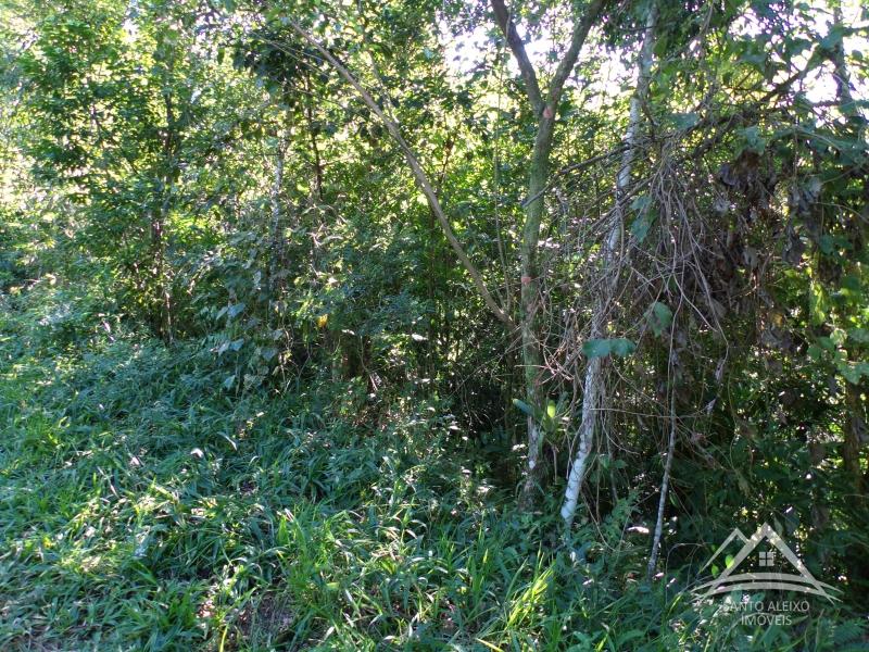 Terreno Residencial à venda em Centro, Rio de Janeiro - RJ - Foto 3