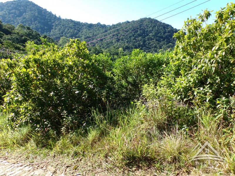 Terreno Residencial à venda em Centro, Rio de Janeiro - RJ - Foto 4