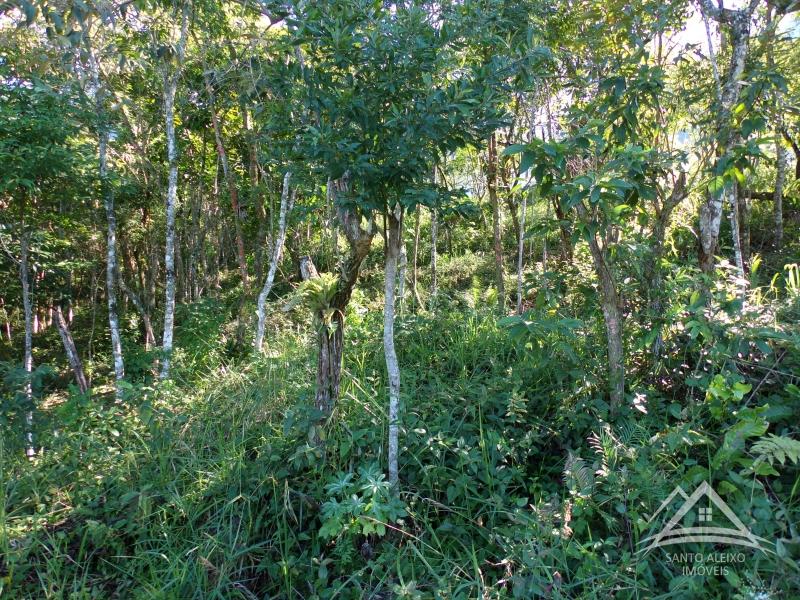 Terreno Residencial à venda em Centro, Rio de Janeiro - RJ - Foto 6