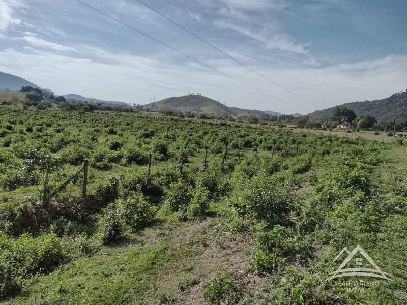 Terreno Comercial à venda em Centro, Rio de Janeiro - RJ - Foto 5