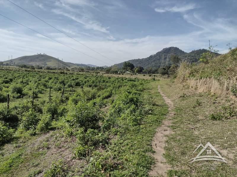 Terreno Comercial à venda em Centro, Rio de Janeiro - RJ - Foto 13