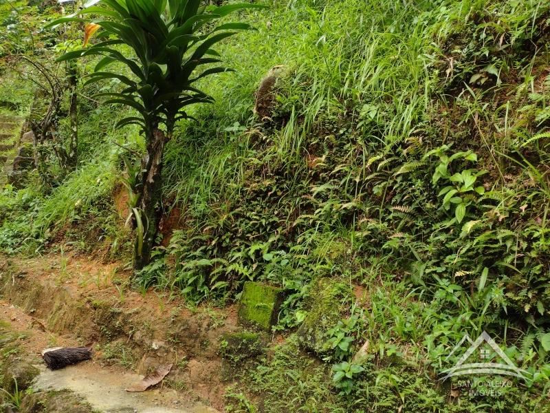 Casa à venda em Centro, Rio de Janeiro - RJ - Foto 17