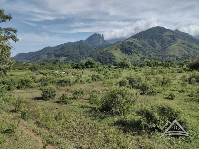 Casa à venda em Centro, Rio de Janeiro - RJ - Foto 2