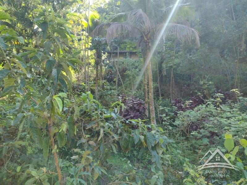 Fazenda / Sítio à venda em Santo Aleixo, Rio de Janeiro - RJ - Foto 15