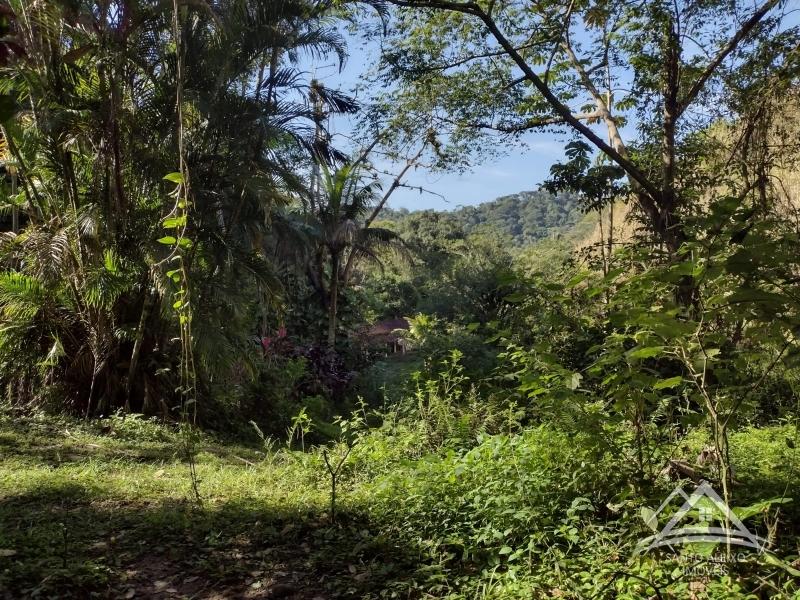 Fazenda / Sítio à venda em Santo Aleixo, Rio de Janeiro - RJ - Foto 2