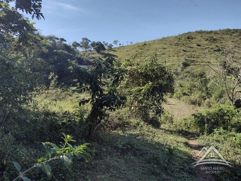 Fazenda / Sítio à venda em Santo Aleixo, Rio de Janeiro - RJ - Foto 11